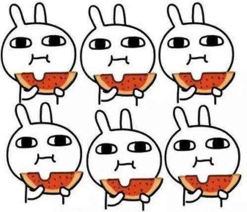 娱乐吃瓜酱脑子有问题,揭秘“脑子有问题”背后的疯狂世界